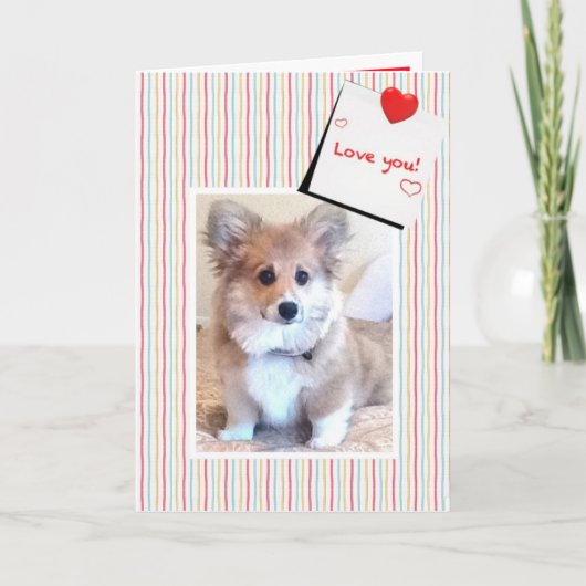 Schattigee donzige corgi-Valentijn Feestdagen Kaart (Voorkant)