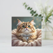 Schattigee donzige kat | Blanco (Staand voorkant)