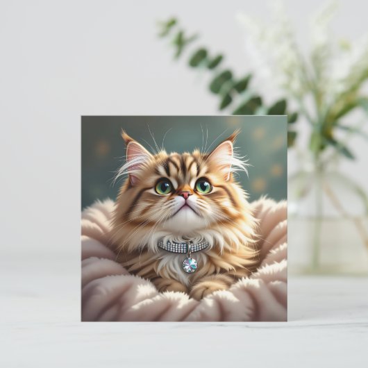 Schattigee donzige kat | Blanco (Staand voorkant)