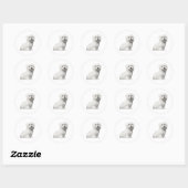 Schattigee donzige maltese lili ronde sticker (Vel)