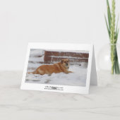 Schattigee dromen van een witte kerst sneeuwengel feestdagen kaart (Achterkant)