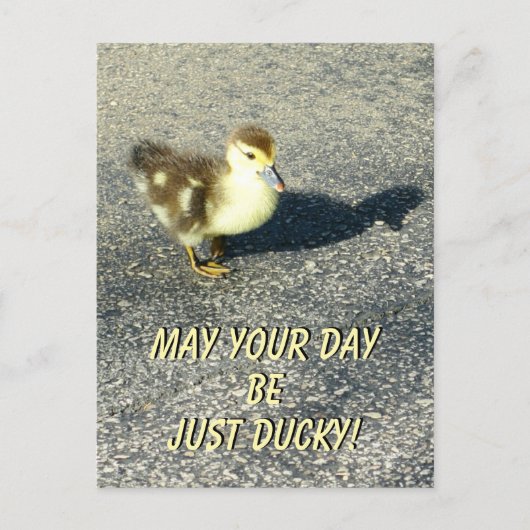 Schattigee Duckling Happy Birthday Wildlife Fotogr Briefkaart (Voorkant)