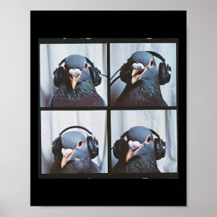 Schattigee Duif Gezicht Autisme Sensorische Vogel  Poster