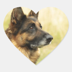 Schattigee Duitse herder Stickers