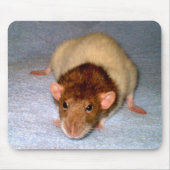 Schattigee Dumbo Rat Mousepad Muismat (Voorkant)