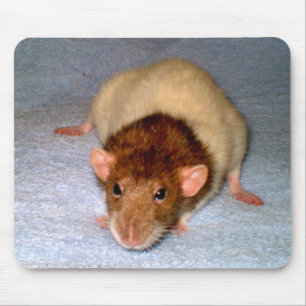 Schattigee Dumbo Rat Mousepad Muismat