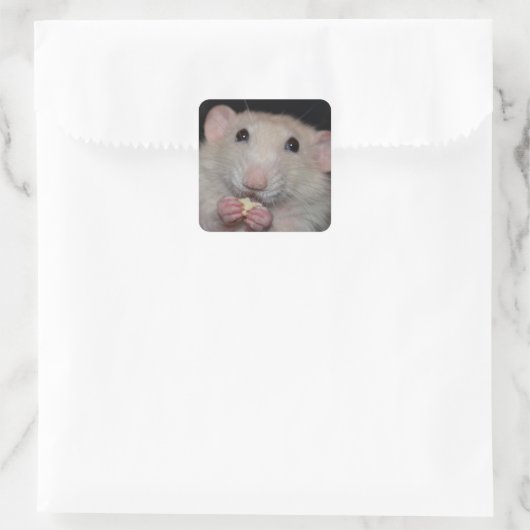 Schattigee Dumbo Rat Stickers (Tas)