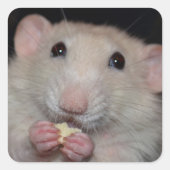 Schattigee Dumbo Rat Stickers (Voorkant)