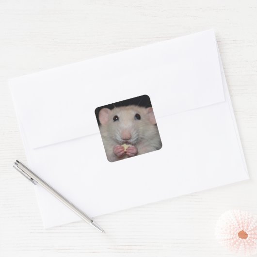 Schattigee Dumbo Rat Stickers (Envelop)
