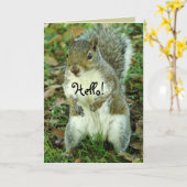 Schattigee eekhoorn, denkt aan jou kaart (Gele Bloem)