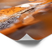 Schattigee Eekhoorn met een Bladparaplu - Herfstre Poster (Hoek)