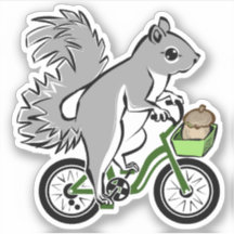 Schattigee eekhoorn op de fiets
