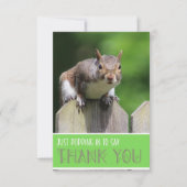 Schattigee eekhoorn op hek plat dank u kaart (Voorkant)