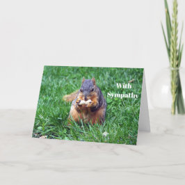 Schattigee eekhoorn pinda foto sympathie kaart