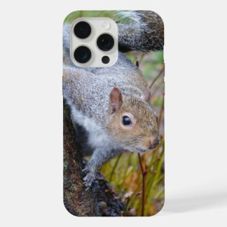 Schattigee eekhoorn telefoonhoesje iPhone 15 pro max case