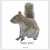 Schattigee eekhoorn wild dier sticker (Vel)
