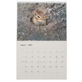 Schattigee Eekhoorns En Chipmunks Grappige Dierenf Kalender (Mar 2027)
