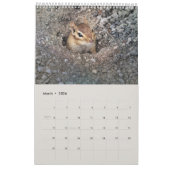 Schattigee Eekhoorns En Chipmunks Grappige Dierenf Kalender (Mar 2026)