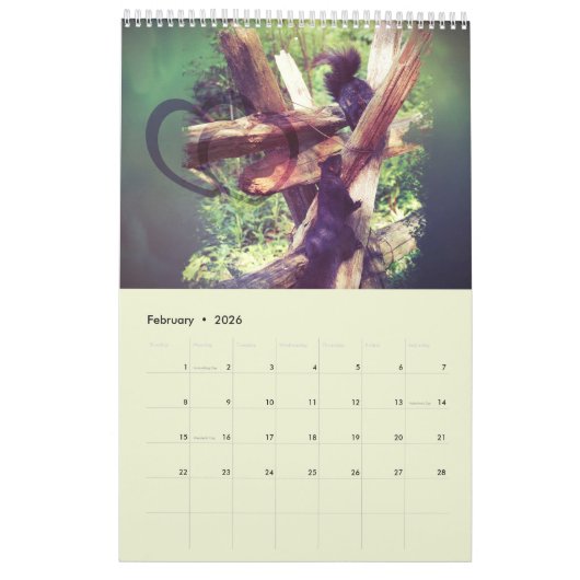 Schattigee Eekhoorns En Chipmunks Grappige Dierenf Kalender (Feb 2026)