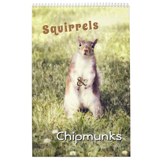Schattigee Eekhoorns En Chipmunks Grappige Dierenf Kalender (Hoes)