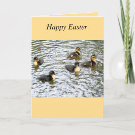 Schattigee eendjes zwemmen paas Kaart