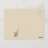 Schattigee Eenvoudige Chic Gold Cello Muziek Dank  Briefkaart (Achterkant)