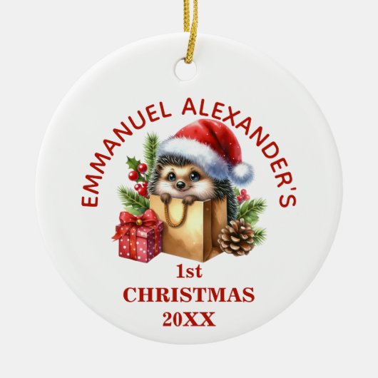 Schattigee egel eerste kerst gepersonaliseerd keramisch ornament (Voorkant)