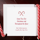 Schattigee egel in Santas Pet Sneeuwbol Kerst Feestdagenkaart