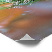 Schattigee egel met een bladparaplu poster (Hoek)