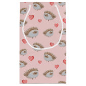 Schattigee egel met patroon klein cadeauzakje (Achterkant)