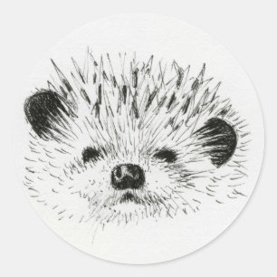 Schattigee egel tekening ronde sticker