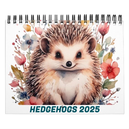 SCHATTIGEE EGELS 2025 KALENDER (Hoes)
