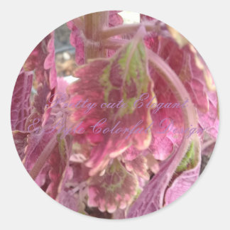  Schattigee Elegante & Stijl Kleurrijke Ronde Stic Sticker