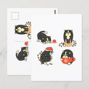 Schattigee en Funny Christmas Cats Briefkaart