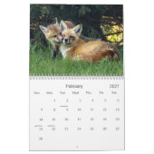 Schattigee en grappige rode vossen kalender (Feb 2027)