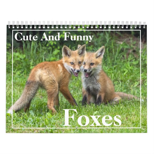 Schattigee en grappige rode vossen kalender (Hoes)