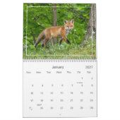 Schattigee en grappige rode vossen kalender (Jan 2027)