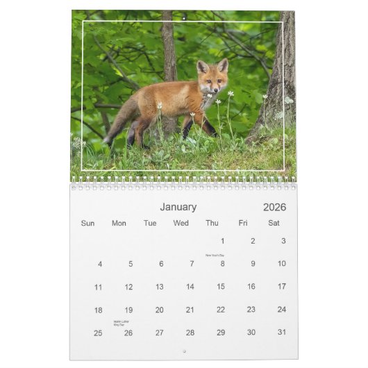 Schattigee en grappige rode vossen kalender (Jan 2026)