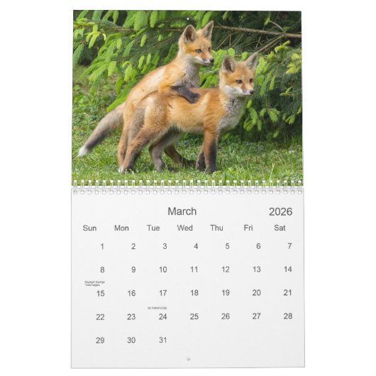 Schattigee en grappige rode vossen kalender (Mar 2026)
