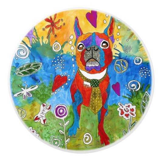 Schattigee en kleurrijke Boston Terrier deurknop Keramische Knop (Voorkant)