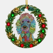 Schattigee en kleurrijke Poodle Goldendoodle