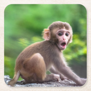 Schattigee en Schattige Baby Monkey Kartonnen Onderzetters