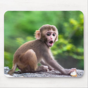 Schattigee en Schattige Baby Monkey Muismat