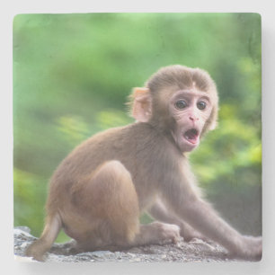Schattigee en Schattige Baby Monkey Stenen Onderzetter
