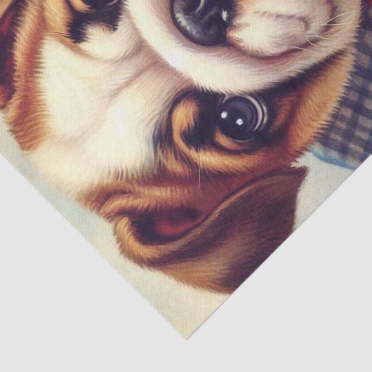 Schattigee  Engelse Bulldog Art Tissuepapier (Detail)
