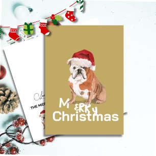 Schattigee Engelse Bulldog in Santa Hat Vrolijk Ke