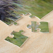 Schattigee Exotic Wombat Animal Wildlife, 252 stuk Legpuzzel (Zijkant)