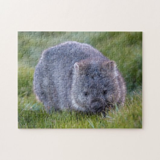 Schattigee Exotic Wombat Animal Wildlife, 252 stuk Legpuzzel (Horizontaal)
