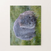 Schattigee Exotic Wombat Animal Wildlife, 252 stuk Legpuzzel (Verticaal)