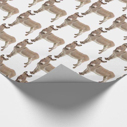 Schattigee ezel burro foto cadeaupapier (Hoek)